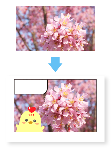 カレンダー作ろうプロジェクト：写真応募